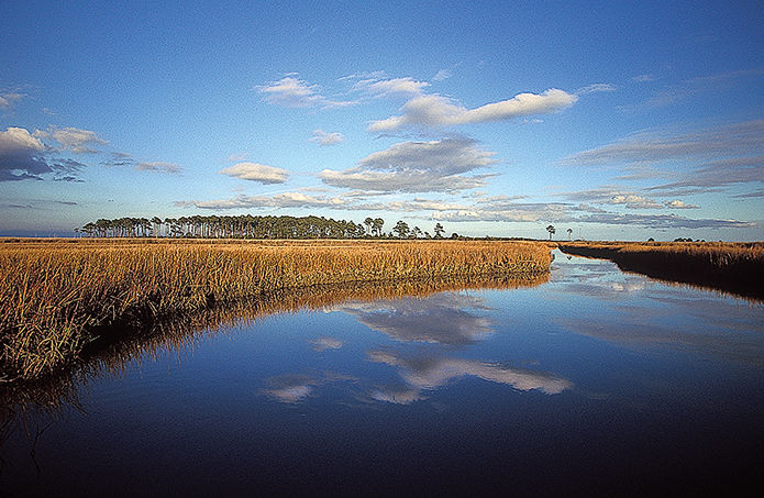 Chesapeake Bay earns another ‘C’ on its annual report card